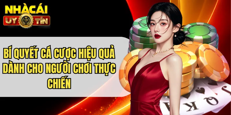 Bí Quyết Cá Cược Hiệu Quả Dành Cho Người Chơi Thực Chiến