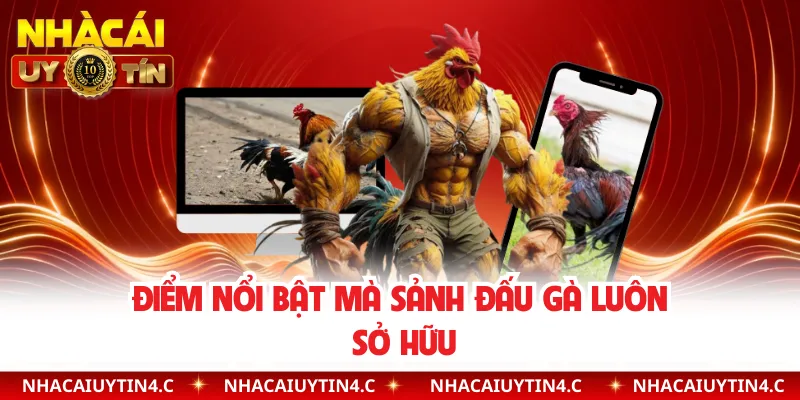 Điểm nổi bật mà sảnh đấu gà luôn sở hữu 