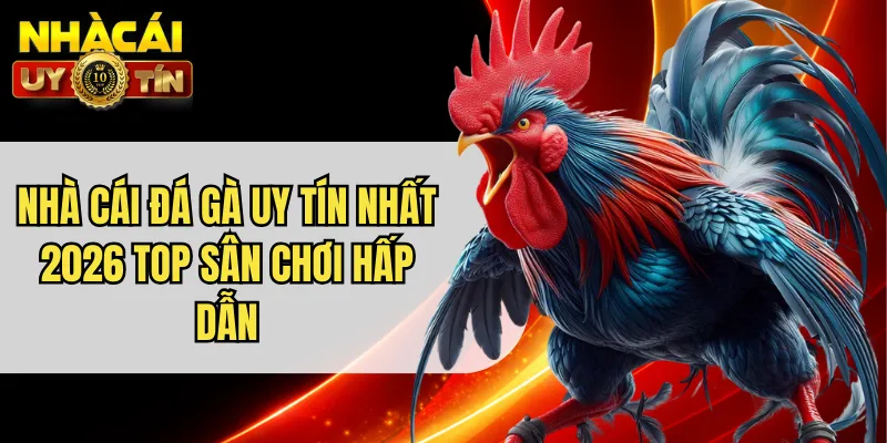 Nhà Cái Đá Gà Uy Tín Nhất 2026 Top Sân Chơi Hấp Dẫn