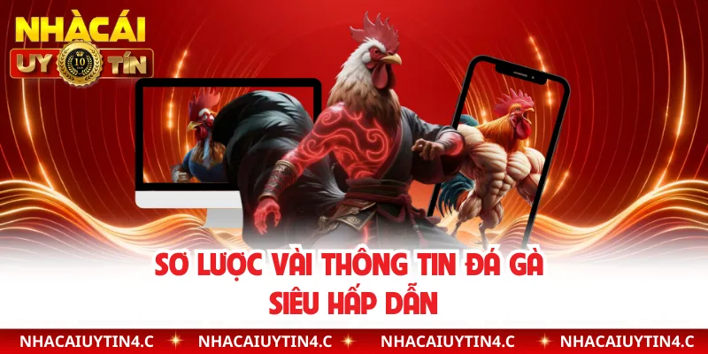 Sơ lược vài thông tin đá gà siêu hấp dẫn 