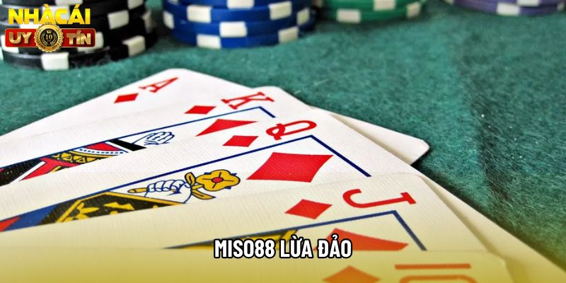 Thực Hư Tin Đồn Miso88 Lừa Đảo - Nguyên Nhân Và Sự Thật