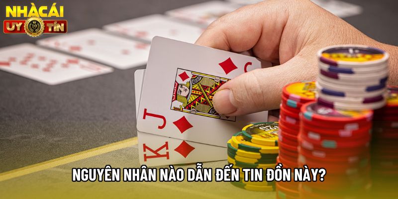 Nguyên nhân nào dẫn đến tin đồn này?