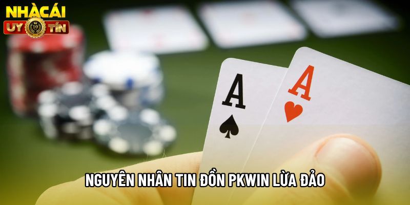 Nguyên nhân tin đồn Pkwin lừa đảo